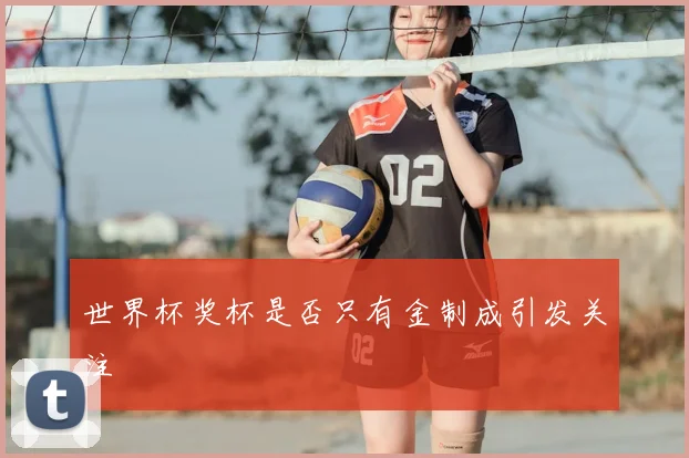 世界杯奖杯是否只有金制成引发关注