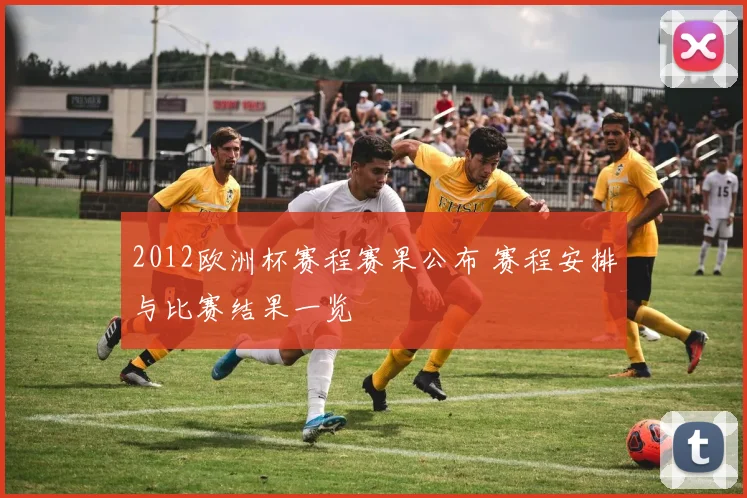 2012欧洲杯赛程赛果公布 赛程安排与比赛结果一览