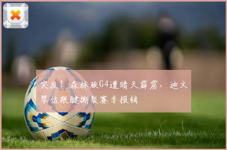 突发！森林狼G4遭晴天霹雳，迪文琴佐跟腱撕裂赛季报销