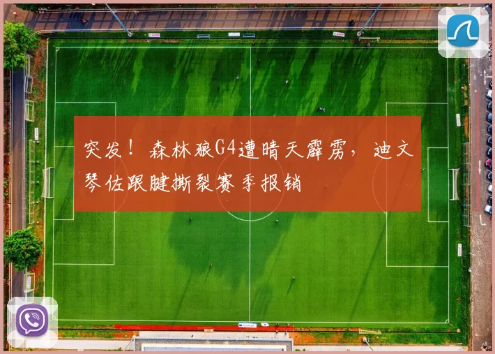 突发！森林狼G4遭晴天霹雳，迪文琴佐跟腱撕裂赛季报销